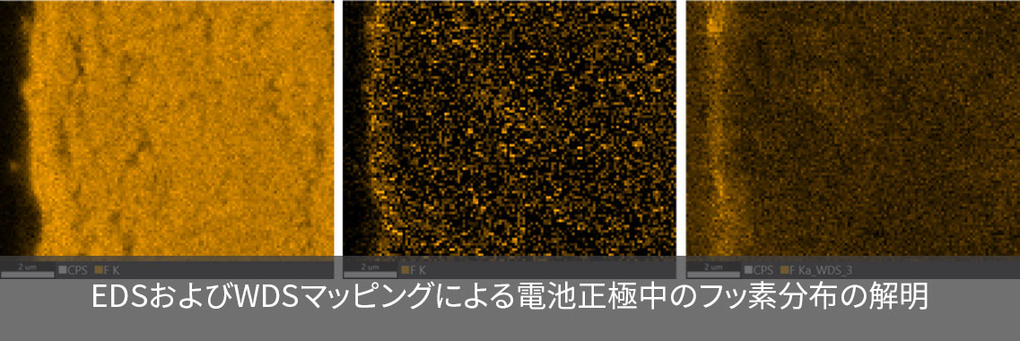 EDSおよびWDSマッピングによる電池正極中のフッ素分布の解明