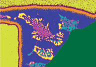 Improvements in SDD Efficiency - From X-ray Counts to Data
