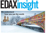 Insight Vol. 21 No. 4