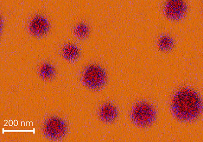 Au-WS₂コアシェルナノ粒子のEDS分析