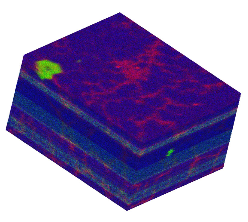 EDSのX線強度 Nb (赤)、Ti (緑)、Ni (青)によるRGBマップ