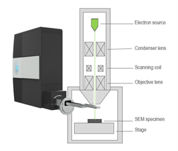電子顕微鏡用に取付けたMonarc CL検出器