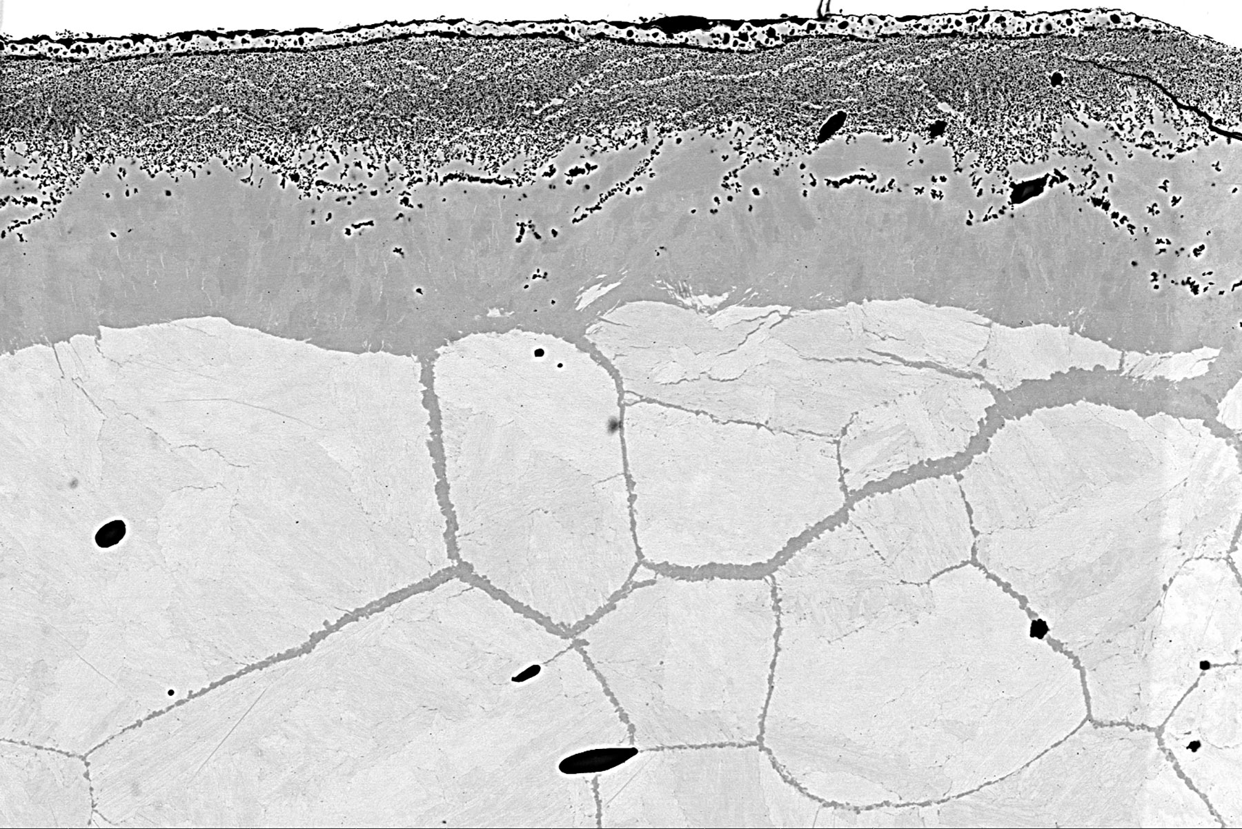 鋼材試料の窒化表面層のBSE像