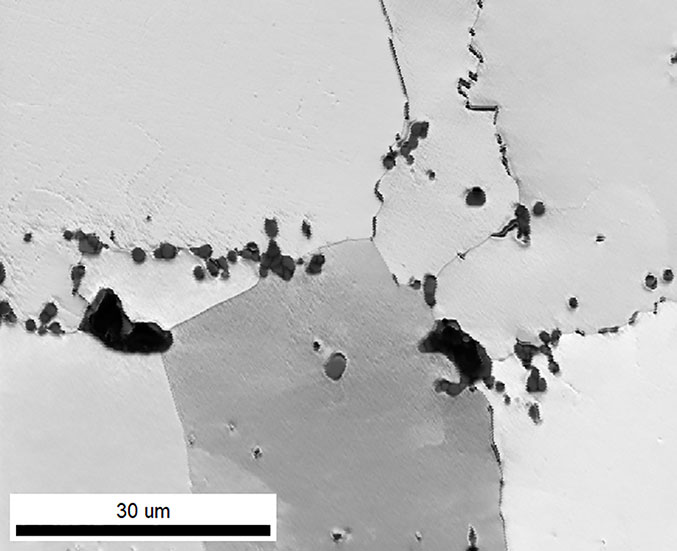 図5．ろう付け領域の中心部の高倍率IQ像