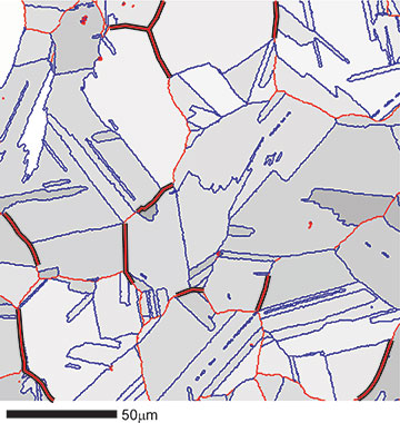 図7．結晶粒界を重ね合わせた撓んだ試料のEBSDイメージクオリティー像。赤で示した粒界はランダムな高角度の粒界（> 10°）、青は一致するサイトの格子粒界、黒い線は、クラックの入った粒界を示す