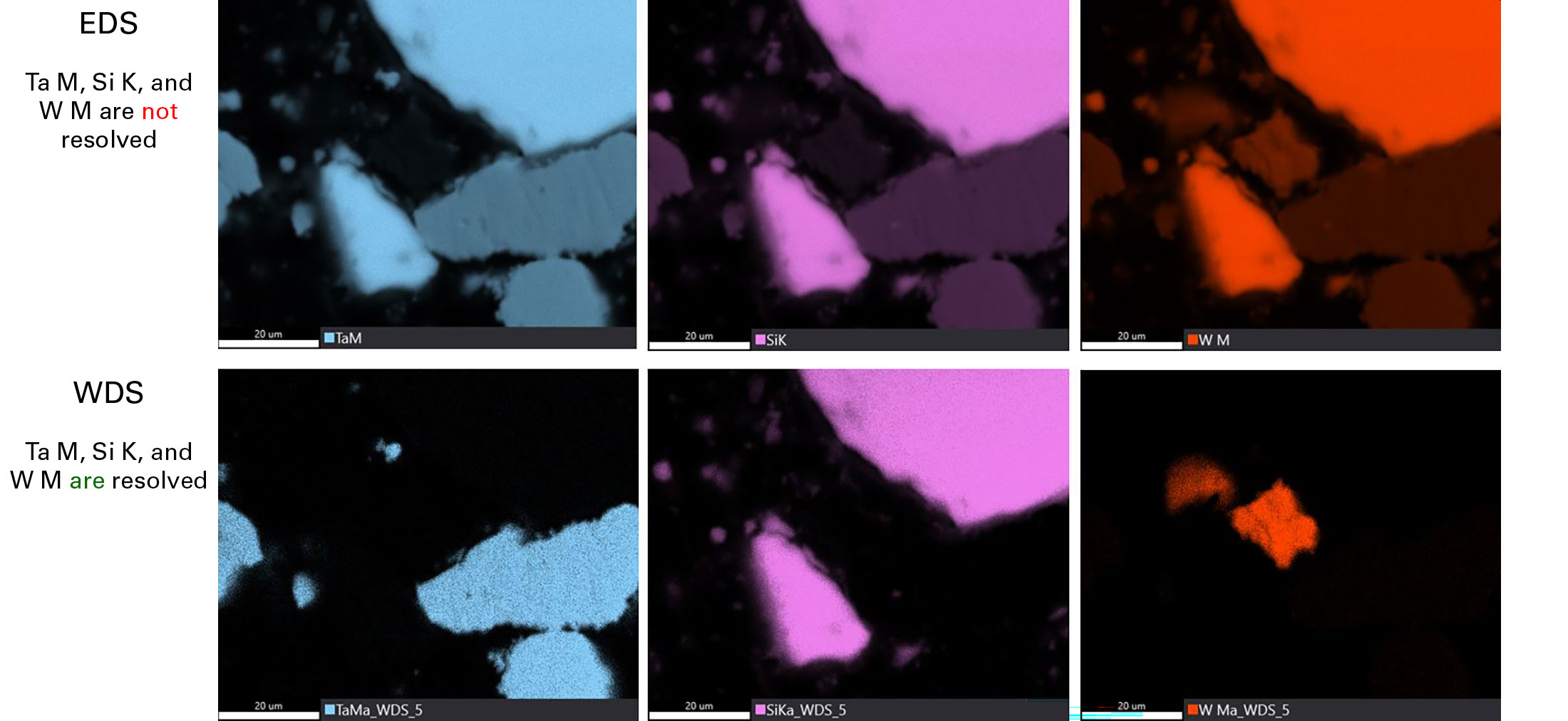 Si-W-Ta 試料のEDS (上) マップとWDS (下)マップ WDSマップは、 EDS マップのTa M、Si K、W Mピークの重なりによるアーティファクトを解消します