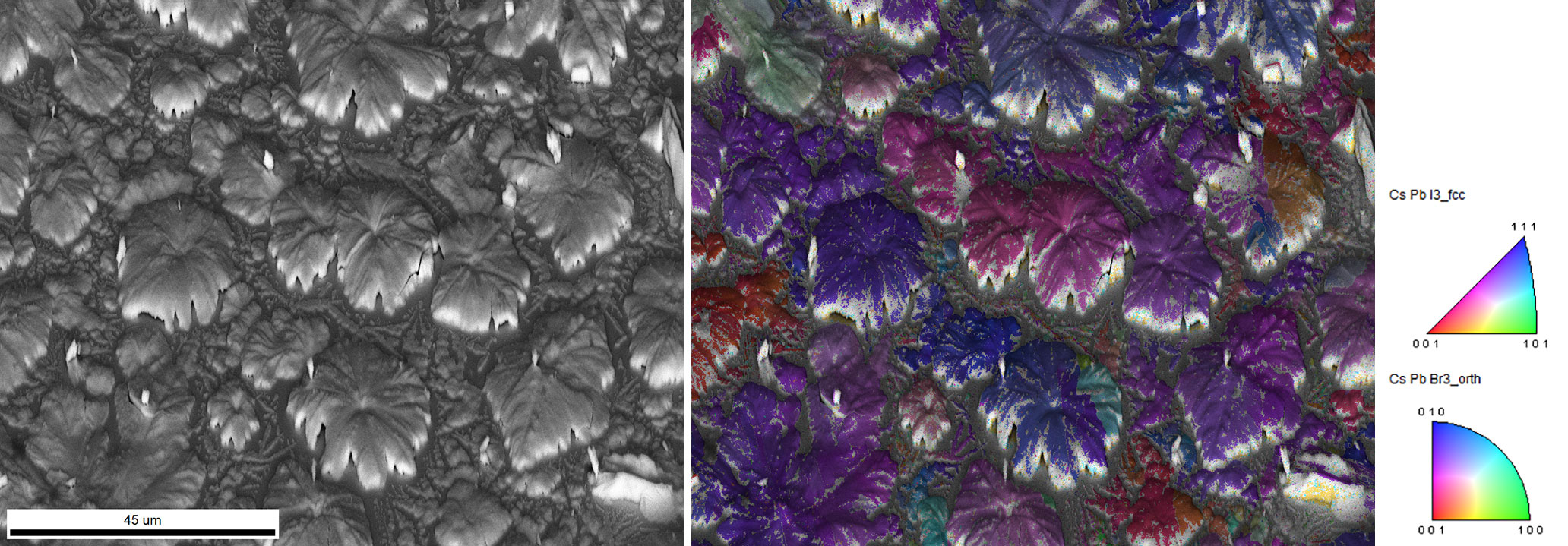 図8．(左）15 kV、300 pAの電子線を用いて収集したCsPbI3ハロゲン化物ペロブスカイトのSEM像と（右）IPFマップ像。大きな結晶粒は斜方晶相で、その間にはわずかに立方晶相が観察される。サンプル提供：Dr. Julian Steele (KU Leuven, Belgium)