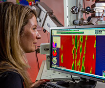 EDAX Application Support